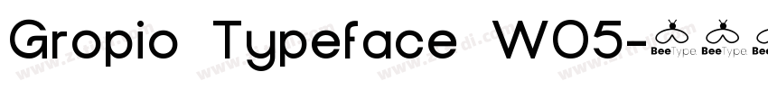 Gropio Typeface W05字体转换